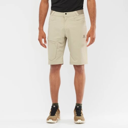 Bermudas Salomon Wayfarer Hombre Kaki | MX AGEI083